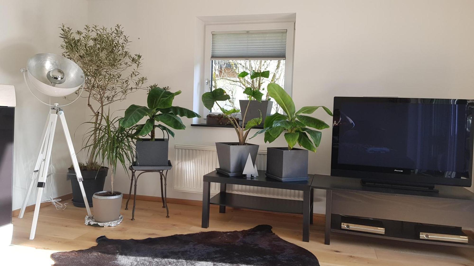 Jagd Trifft Moderne & Boutique Jardin Ferienhaus Аннаберг-им-Ламмерталь Экстерьер фото