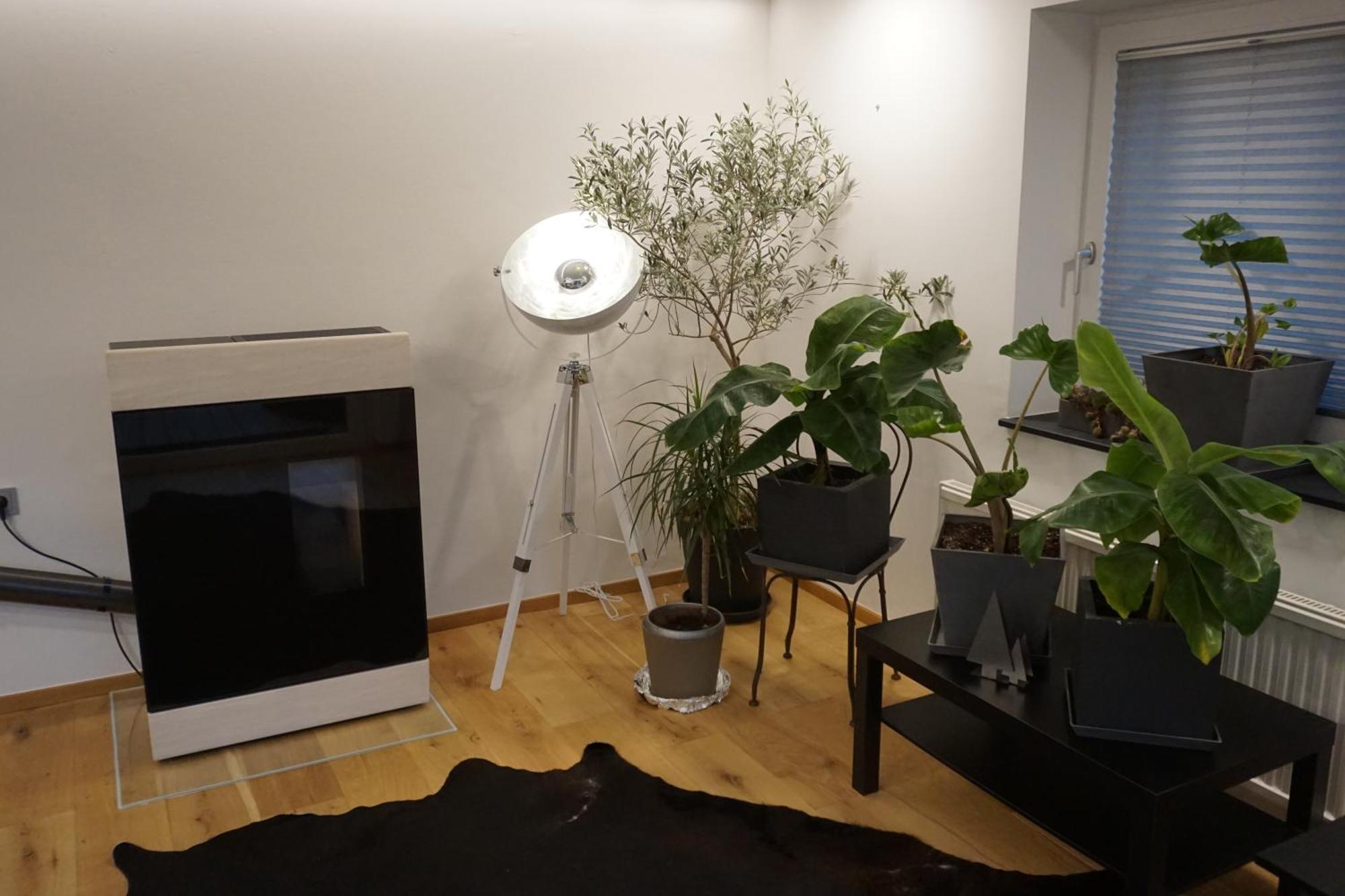 Jagd Trifft Moderne & Boutique Jardin Ferienhaus Аннаберг-им-Ламмерталь Экстерьер фото