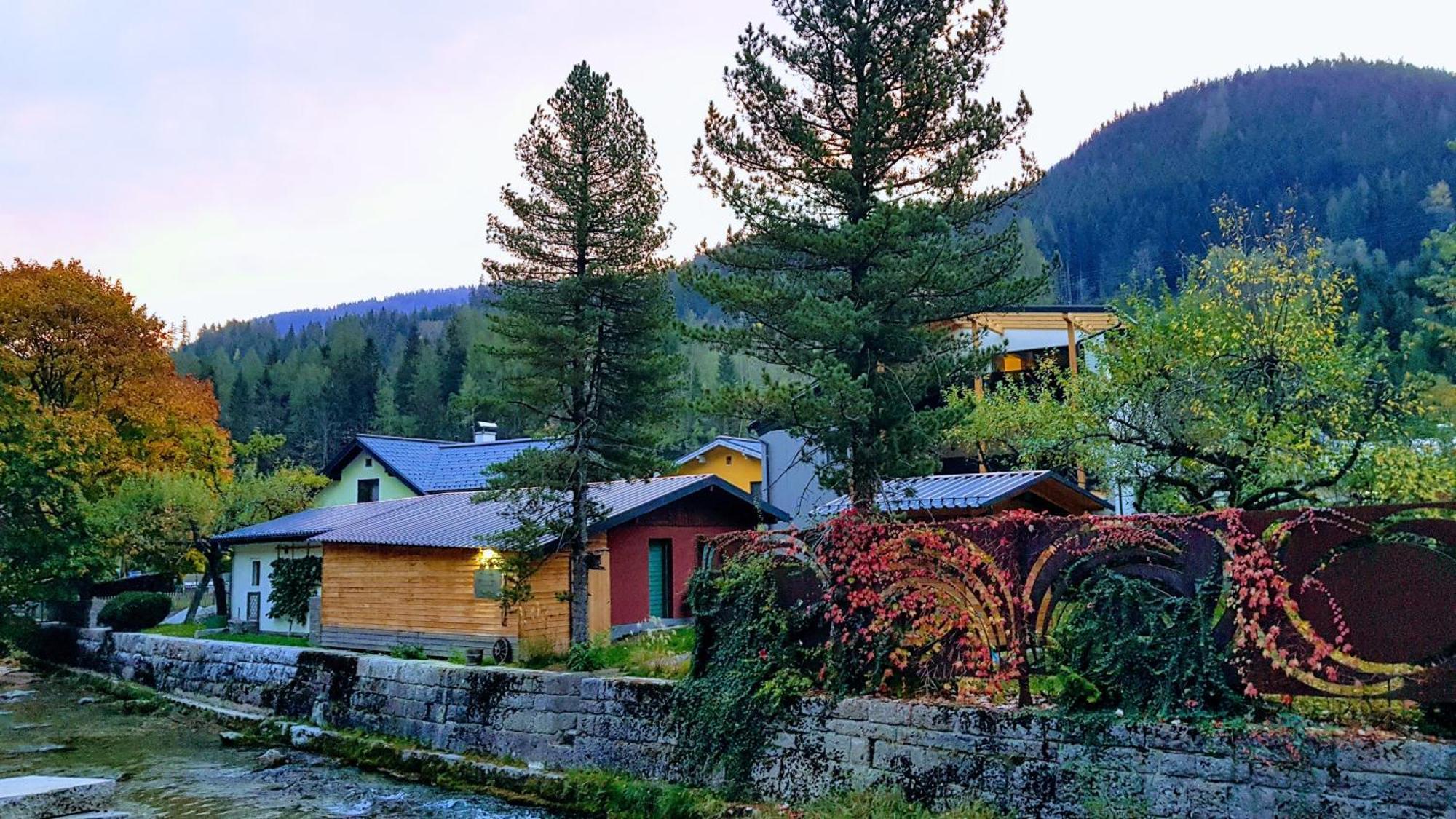 Jagd Trifft Moderne & Boutique Jardin Ferienhaus Аннаберг-им-Ламмерталь Экстерьер фото