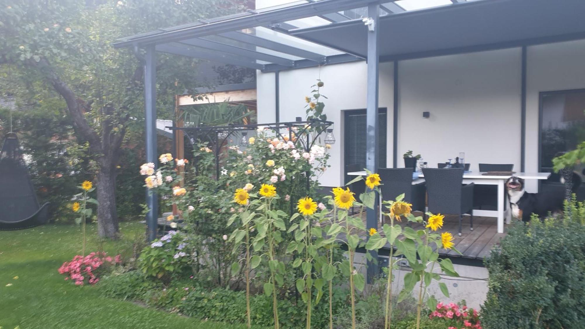 Jagd Trifft Moderne & Boutique Jardin Ferienhaus Аннаберг-им-Ламмерталь Экстерьер фото