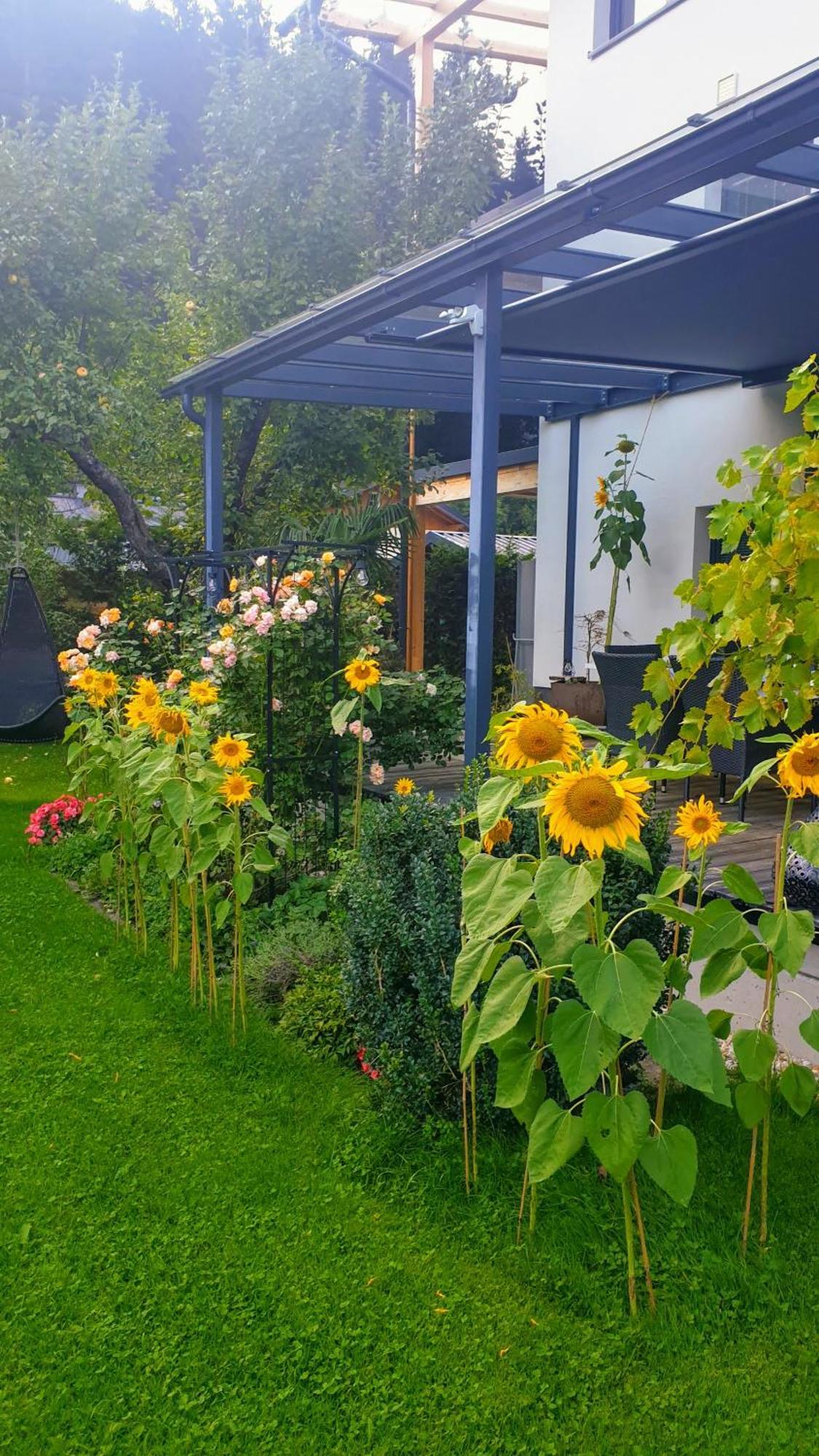 Jagd Trifft Moderne & Boutique Jardin Ferienhaus Аннаберг-им-Ламмерталь Экстерьер фото